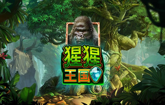 ng28南宫娱乐网